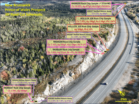 Figure2-Prince of Wales roadside